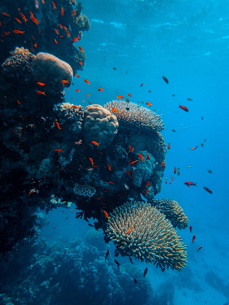 Great Barrier Reef